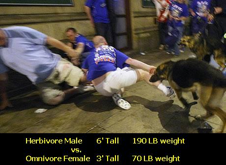 Female Dog Vs. Male Human