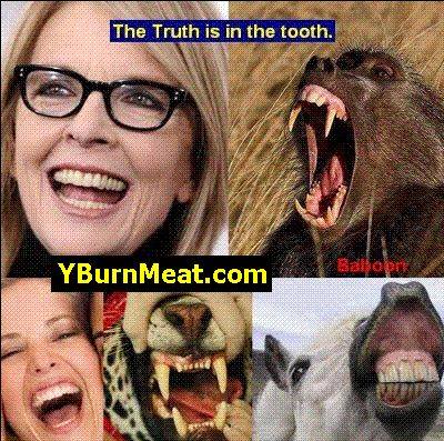 Why Burn Meat